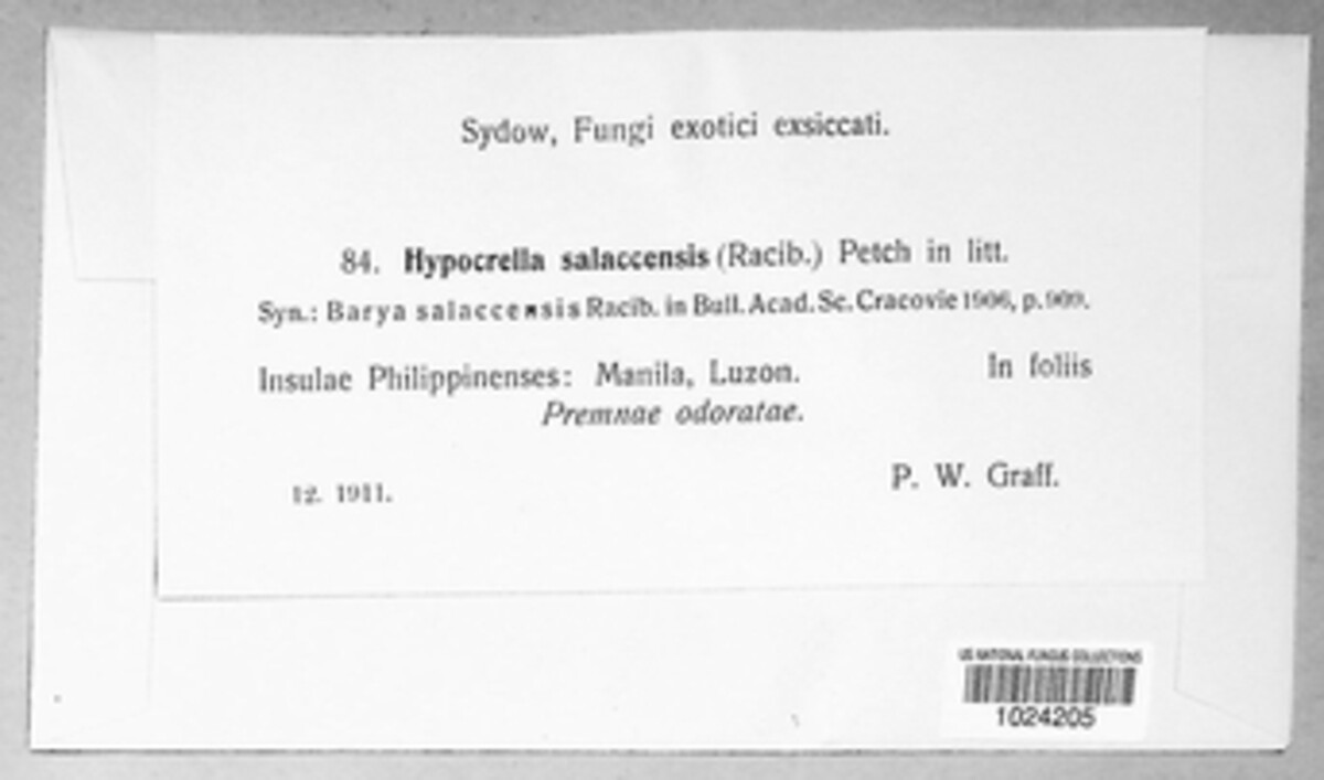 Hypocrella salacensis image